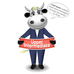 cow upper